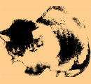 neko.gif